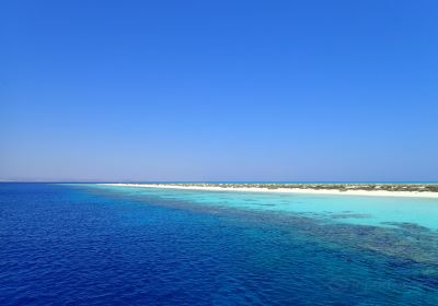 Marsa Alam