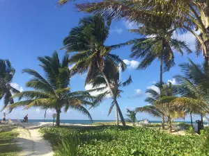 Cayo Levisa