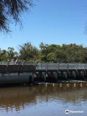 Kent Street Weir