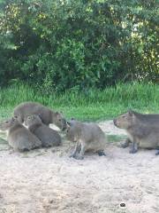 Iberá National Park