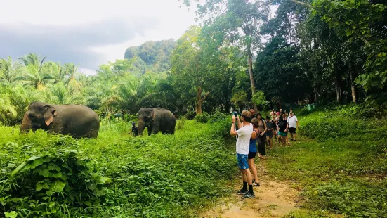 Khao Sok Elephant Sanctuary
