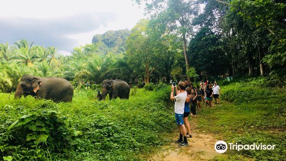 Khao Sok Elephant Sanctuary