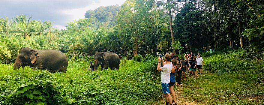 Khao Sok Elephant Sanctuary