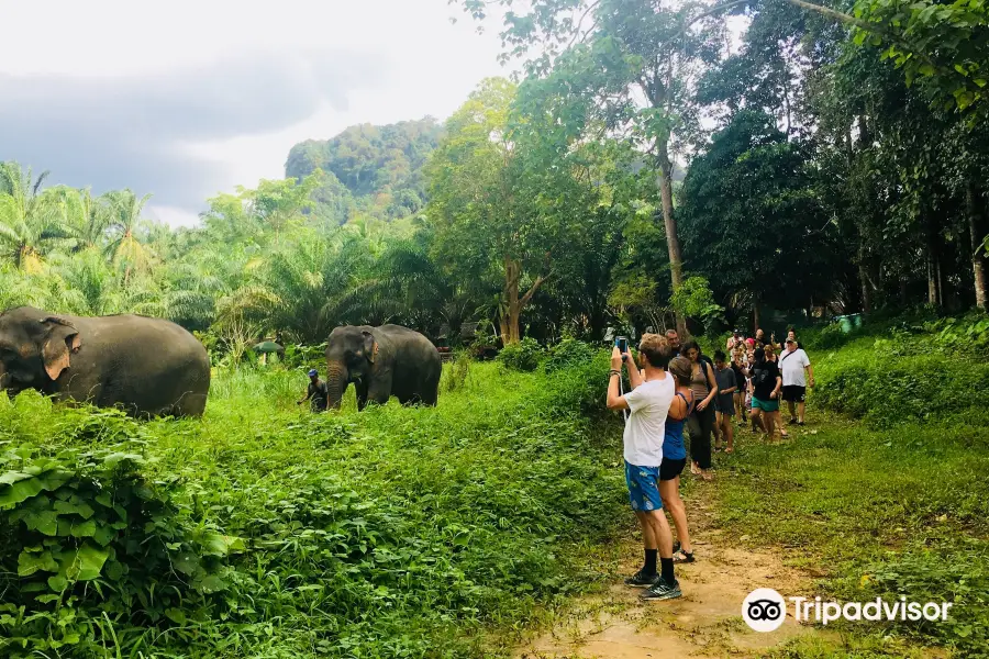 Khao Sok Elephant Sanctuary