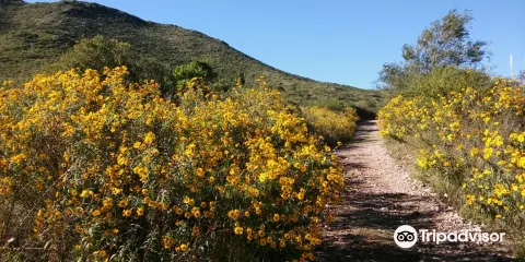 Cerro la Banderita