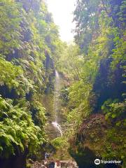 Cascada De los Tilos