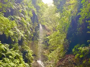 Wasserfall von Los Tilos