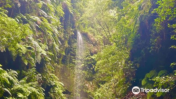 Cascada De los Tilos