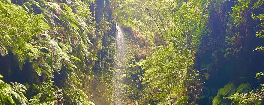 Cascada De los Tilos