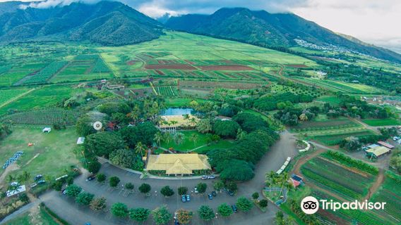 Maui Tropical Plantation