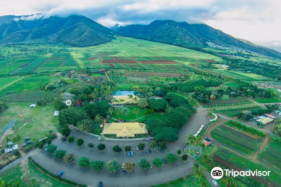 Maui Tropical Plantation