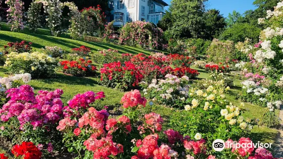 Rosengarten auf dem Beutig
