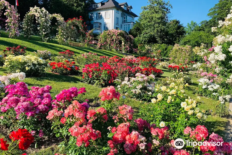 Rose Society Garden (New Rose Garden)