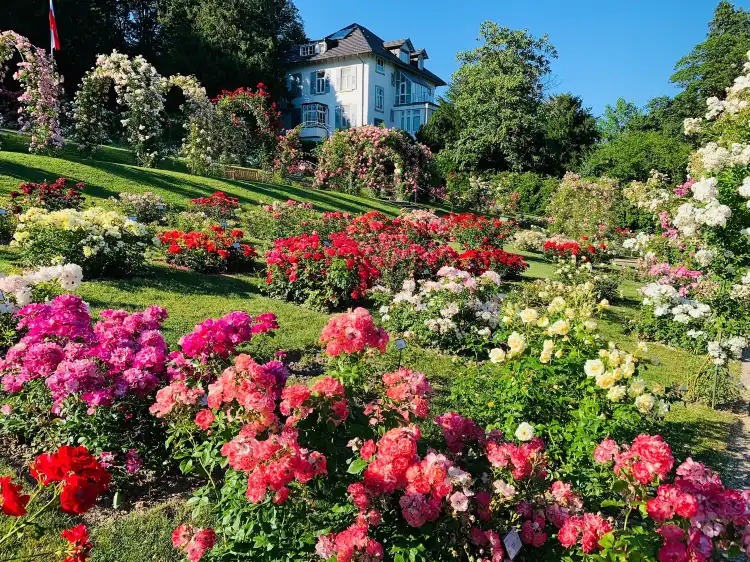 Hotels near Rose Society Garden (New Rose Garden)