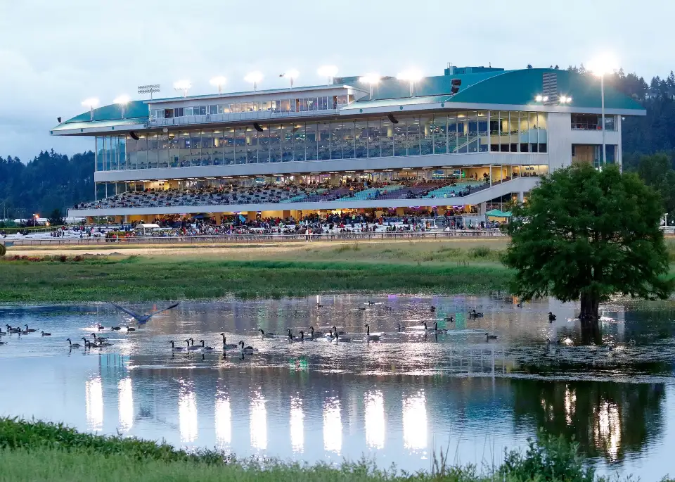 4_Emerald Downs