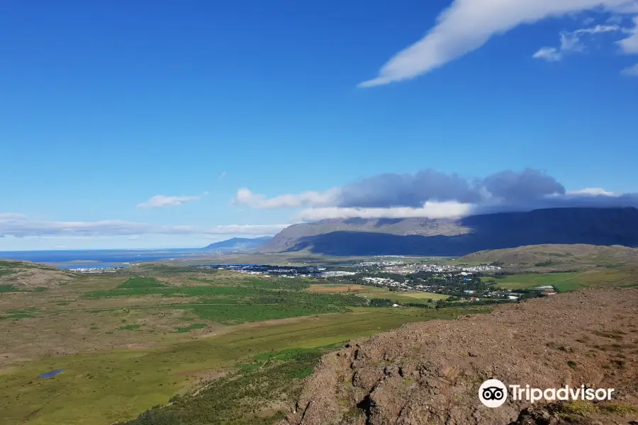 Reykjavik Safari