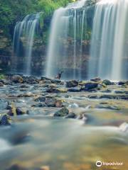 Wilke Glen and Cascade Falls