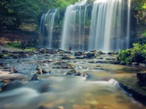 Wilke Glen and Cascade Falls