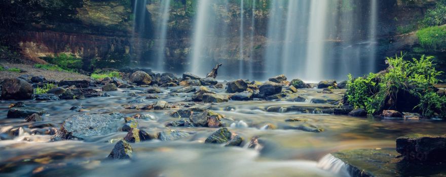Wilke Glen and Cascade Falls