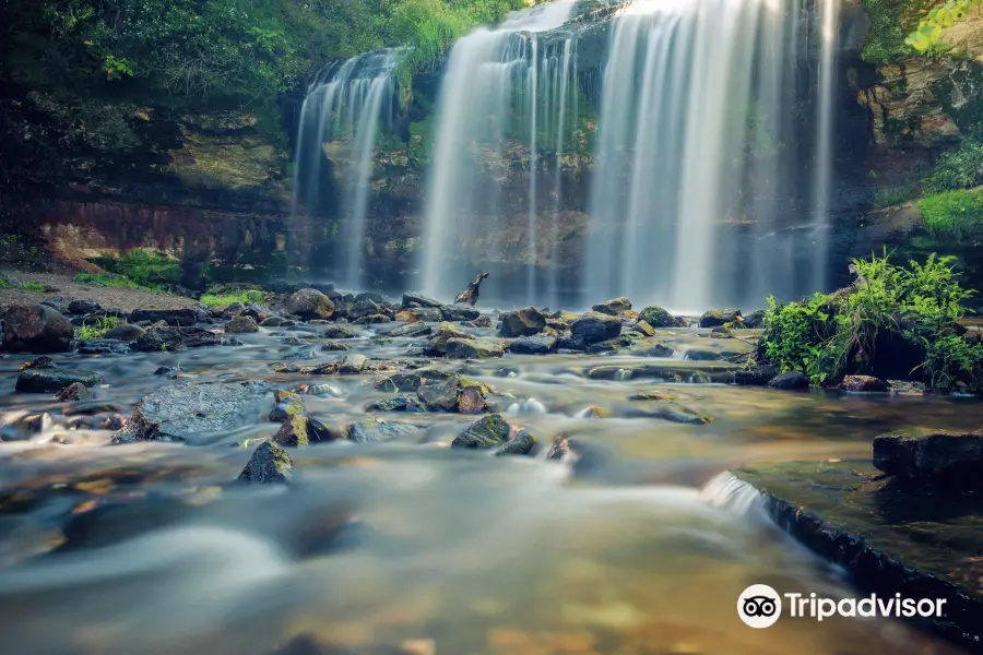 Wilke Glen and Cascade Falls