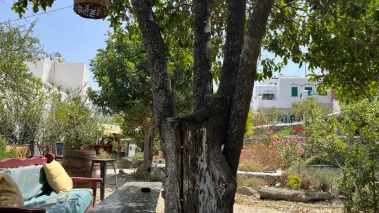 Amorgos Botanical Park