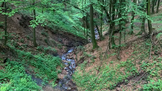 Altenbachklamm