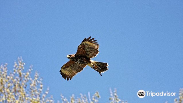 Parque Natural Trikuharri