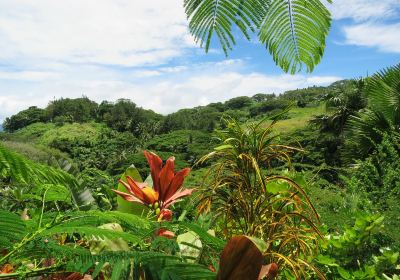 Flora Tropica Botanical Gardens