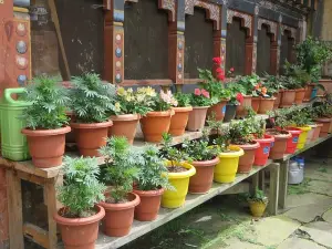 Tamshing Lhakhang