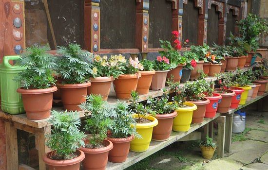 Tamshing Lhakhang
