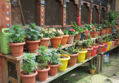 Tamshing Lhakhang