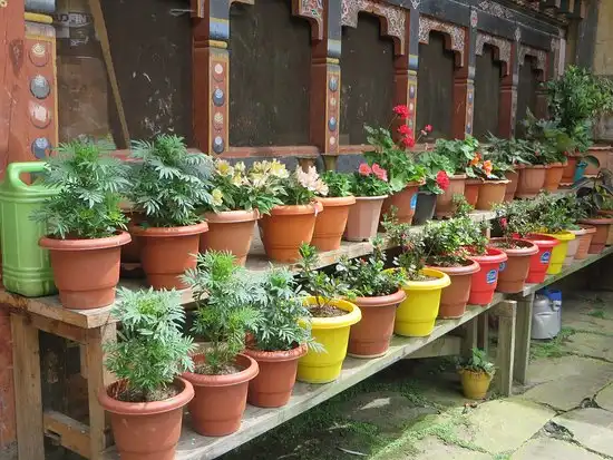 Hotels near Tamshing Lhakhang