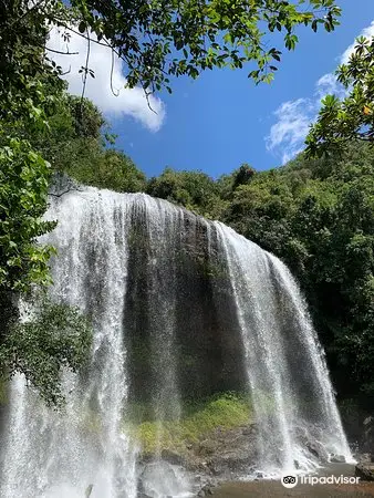 絶対に行くべきパラオの観光スポット トリップドットコム