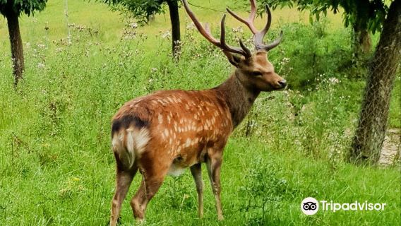 Wildpark Warstein