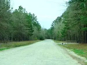 Lumber River State Park