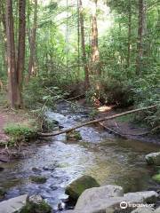 Cataract Falls