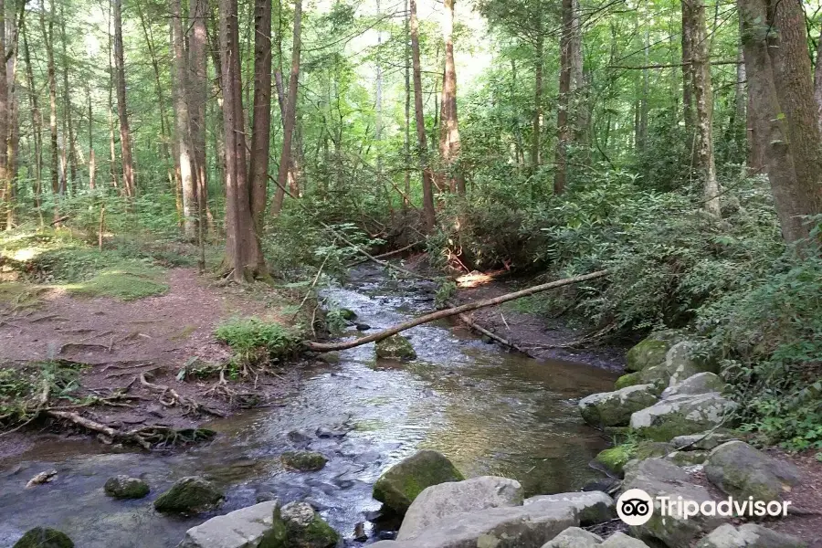 Cataract Falls