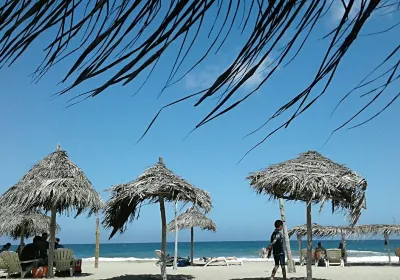 La Guaira State