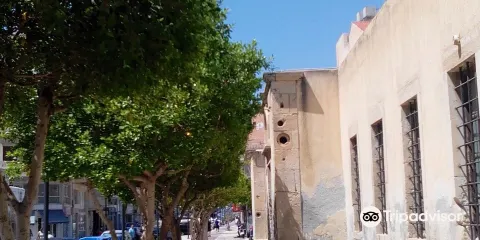 Archaeological Collection