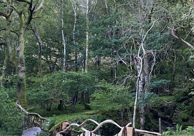 Padarn Country Park