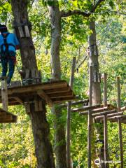 The Adventure Park at Storrs