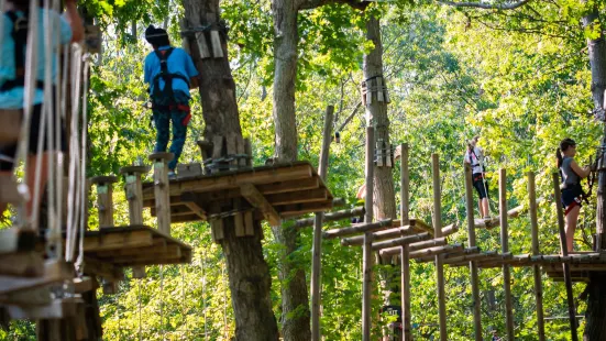 The Adventure Park at Storrs