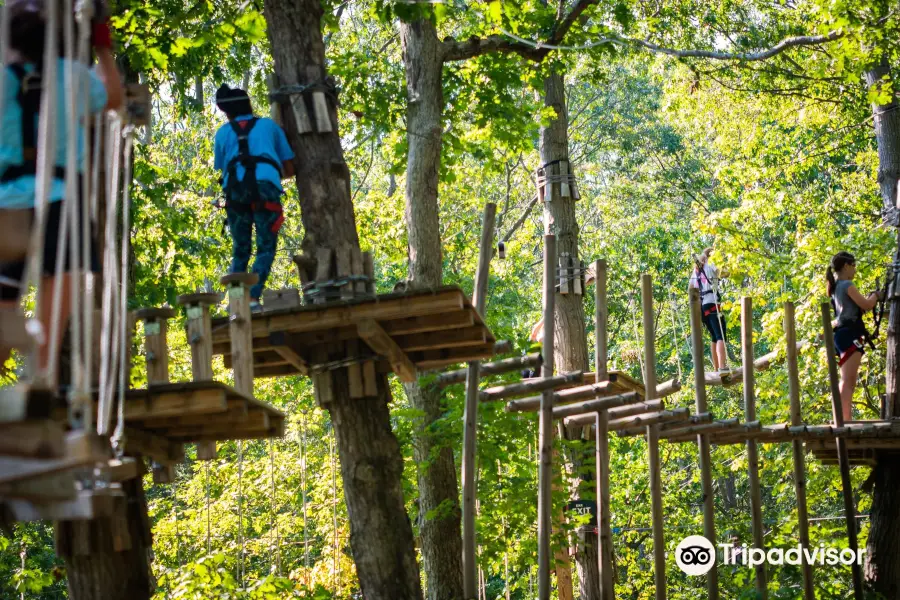 The Adventure Park at Virginia Aquarium