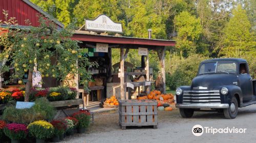 Shelburne Orchards