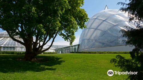 Greenhouses in the Botanical Garden