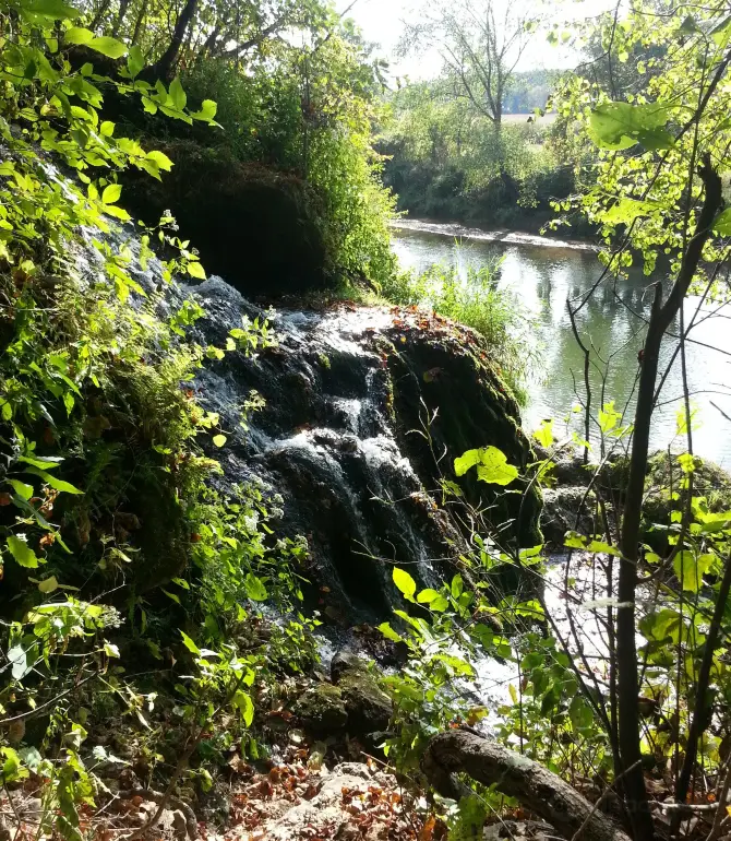 Bluffton