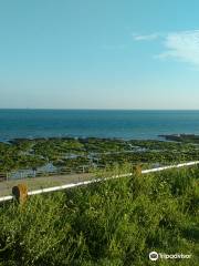 The Sunken Gardens