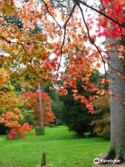 Westonbirt, The National Arboretum