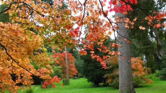 Westonbirt, The National Arboretum