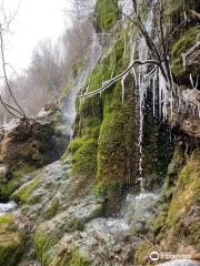 Nacimiento Del Río Cuervo